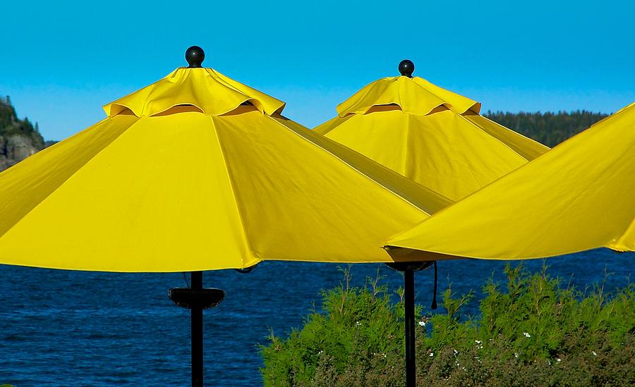 Yellow Umbrellas Photograph by Stuart Litoff