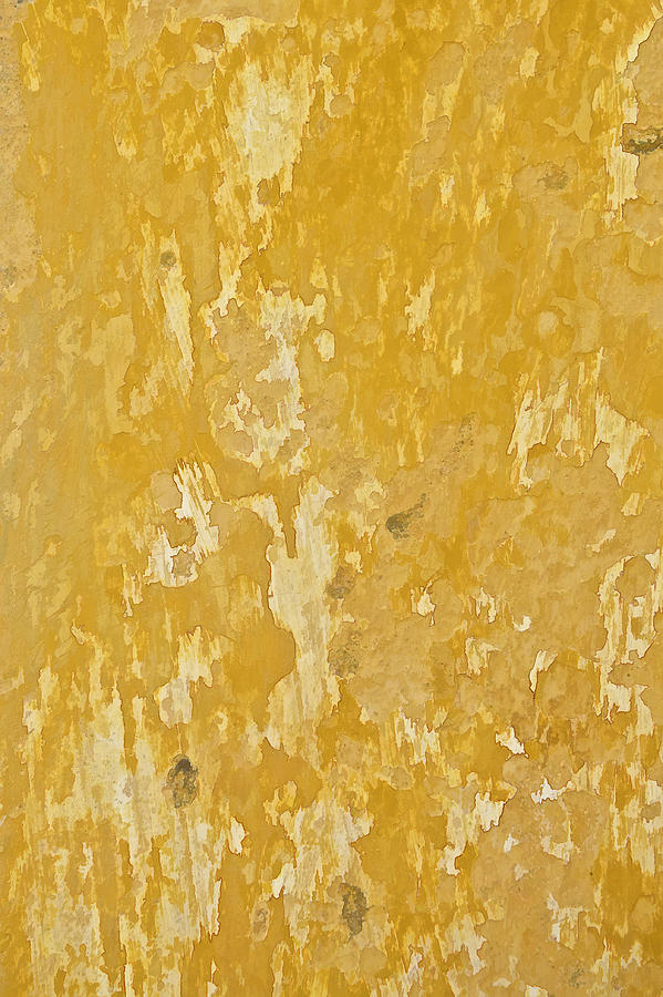 Yellow Wall of Aruba Painting by David Letts