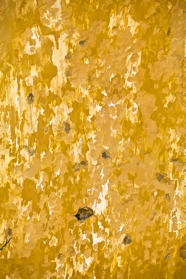 Yellow Wall of Aruba II Photograph by David Letts