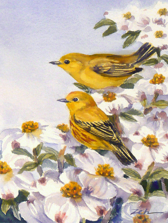 Yellow Warblers Painting by Janet Zeh