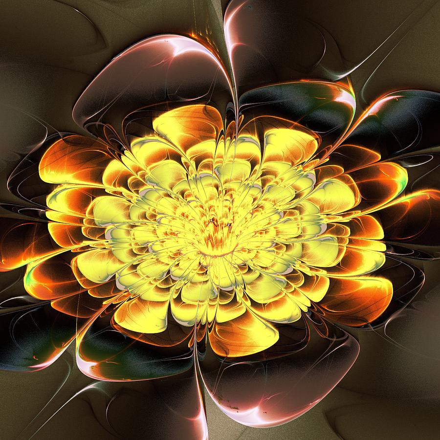 Nature Digital Art - Yellow Water Lily by Anastasiya Malakhova