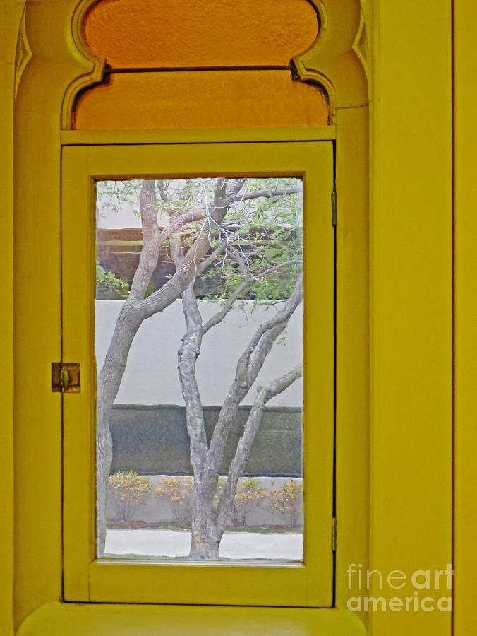 Yellow Window View Photograph by Ann Horn