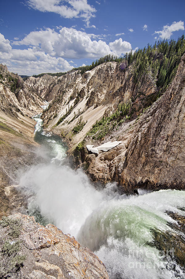 Yellowstone - Grand Canyon Lower Falls Photograph by David Gilder ...