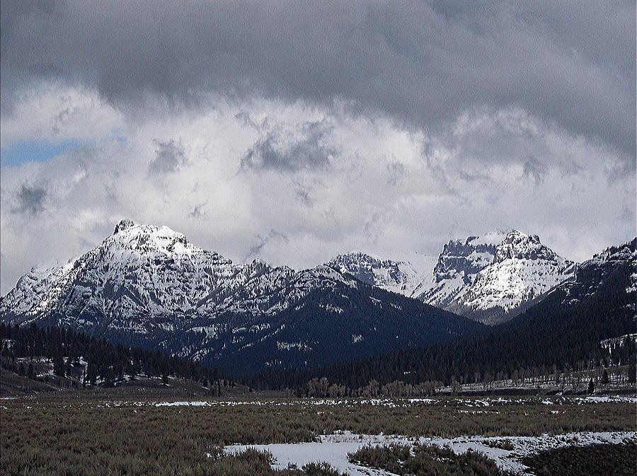 Yellowstone Absaroka Mountains Photograph by Enaid Silverwolf