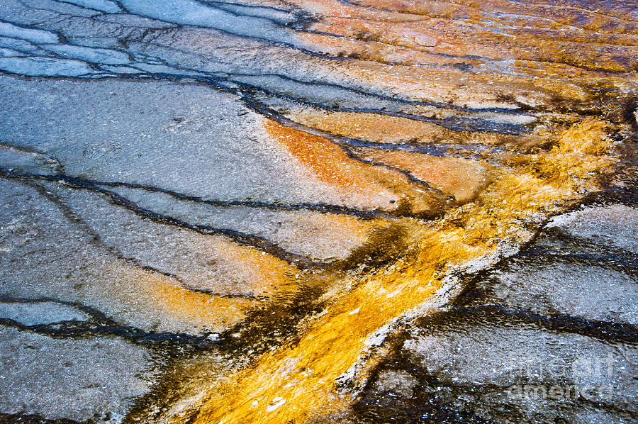 Yellowstone nature abstract Photograph by Delphimages Photo Creations