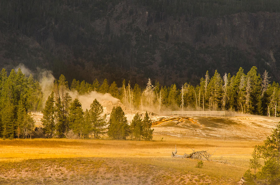 Yellowstone Afternoon Photograph by Janis Knight