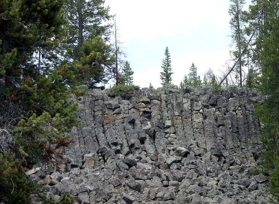 Yellowstone Basalt Lava Columnar Joints Photograph by Barb Dalton Pixels