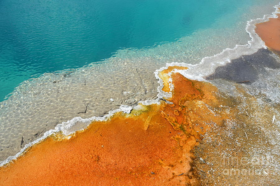 Yellowstone Colorful Black Pool Photograph by Debra Thompson