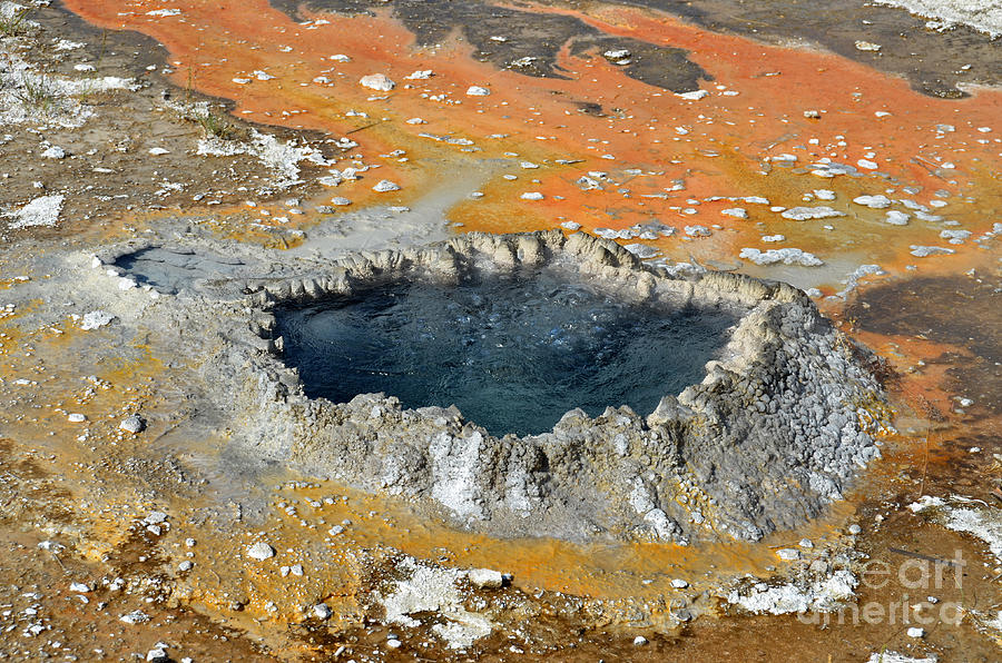 Yellowstone Bubbling Pool Photograph by Debra Thompson