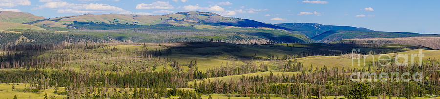 Yellowstone Caldera Panoramic Photograph by Jennifer White