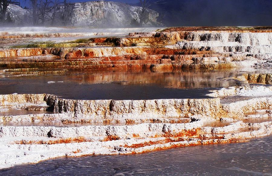 Yellowstone Canary Springs Photograph by Indigo Wild Photography - Fine ...