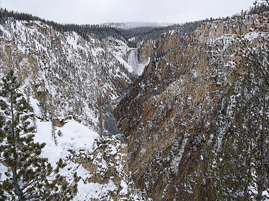 Yellowstone Canyon Falls Photograph by Enaid Silverwolf