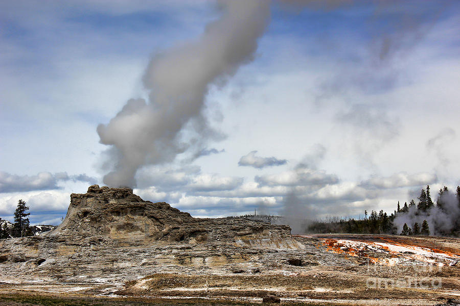 Yellowstone Castle Geyser Photograph by Leslie Kirk