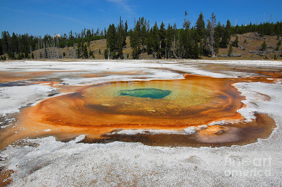 Yellowstone Chromatic Spring Photograph by Debra Thompson