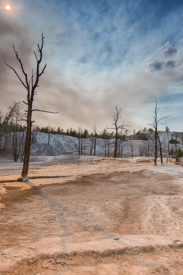 Yellowstone National Park Photograph - Yellowstone Desolation by Andres Leon
