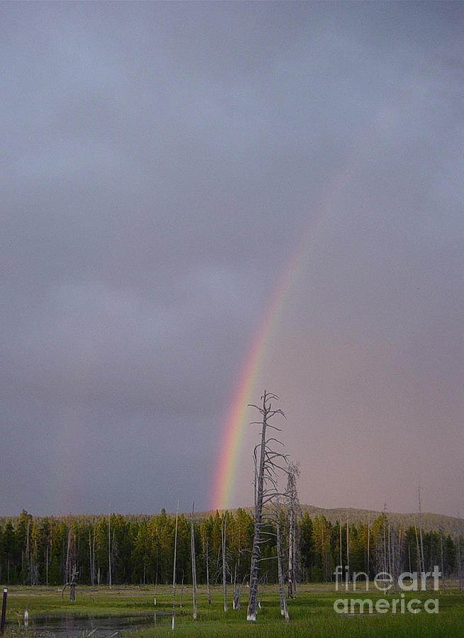 Yellowstone Double Rainbow Photograph by Deborah Smolinske
