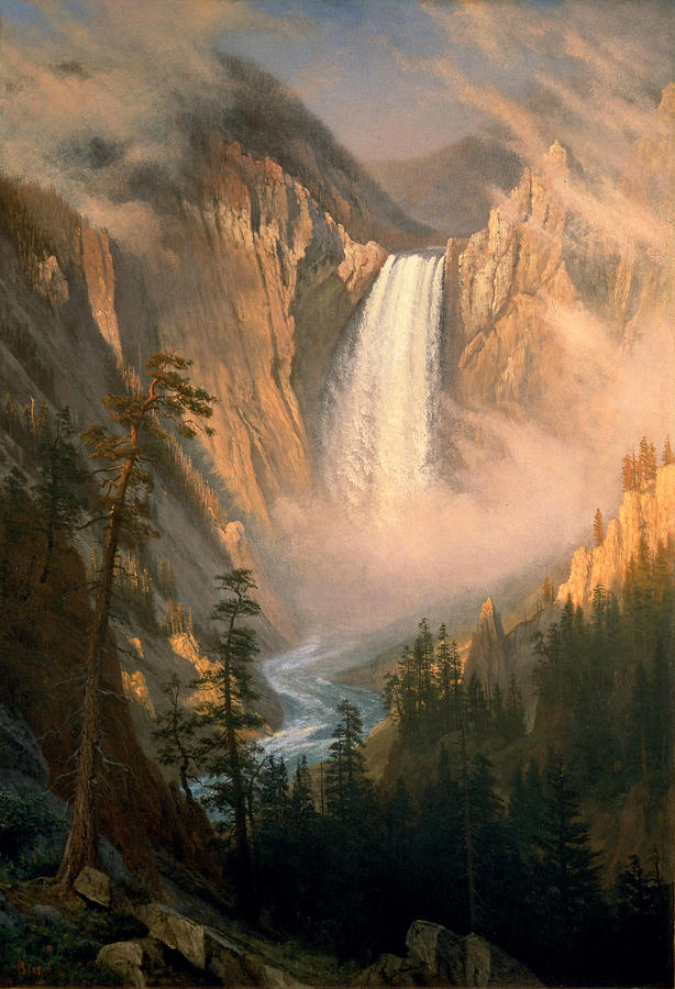 Yellowstone Falls Painting by Albert Bierstadt