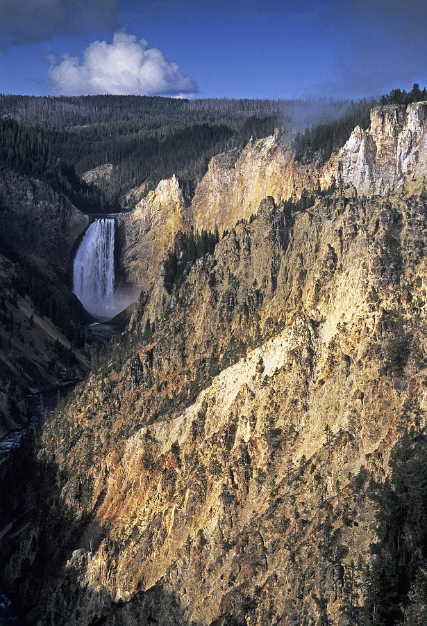 Yellowstone Falls Photograph by Doug Davidson