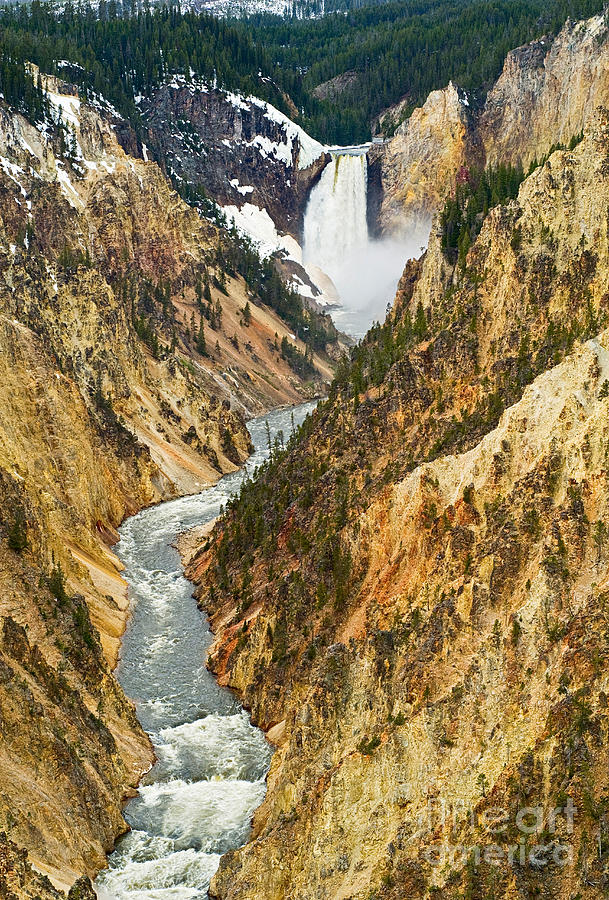 Yellowstone National Park Photograph - Yellowstone Falls from Artist Point by Jamie Pham
