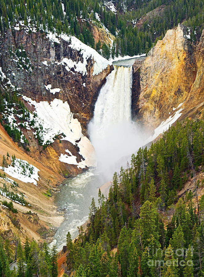 Yellowstone National Park Photograph - Yellowstone Falls in Spring Time by Jamie Pham