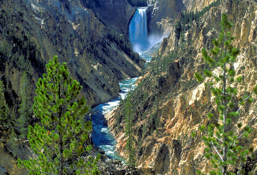 Yellowstone Falls In Wyoming Photograph