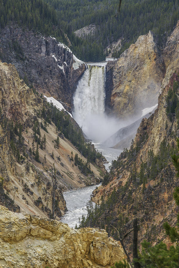 Yellowstone Falls Photograph by John and Julie Black
