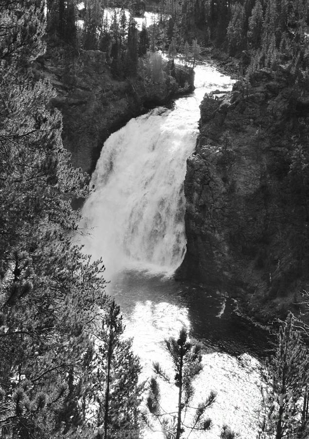 Yellowstone National Park Photograph - Yellowstone Falls by Kathleen Struckle
