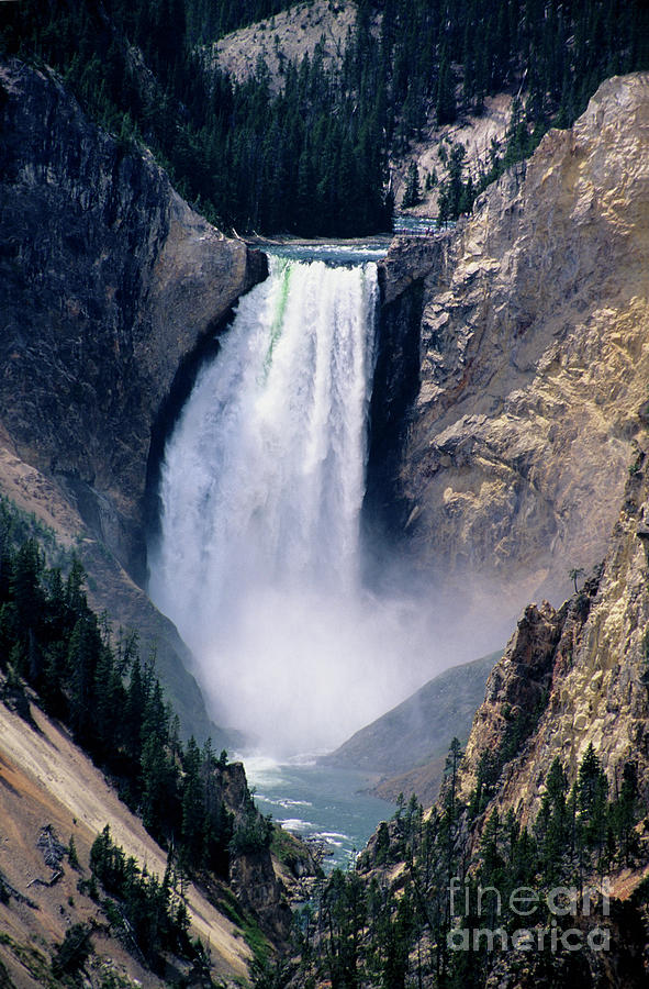 Yellowstone Falls Photograph by Kathy McClure