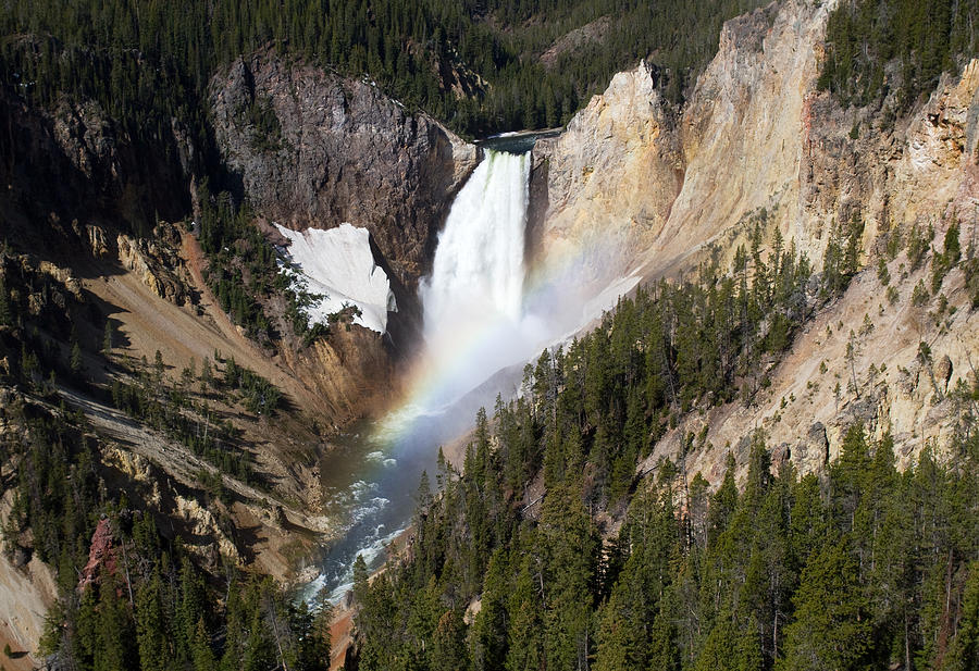 Yellowstone Falls Photograph by Max Waugh