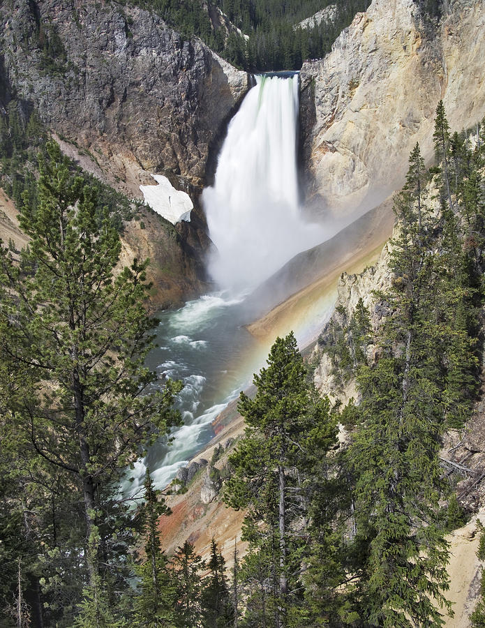 Yellowstone Falls Photograph by Paul Riedinger