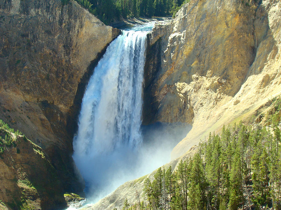 Yellowstone Falls Photograph by Terry Anderson