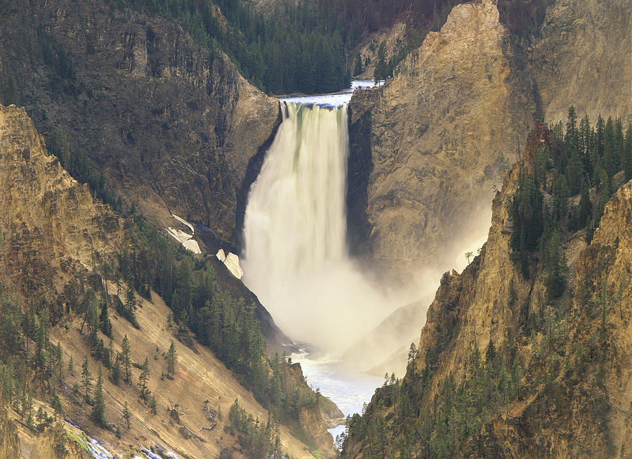 Yellowstone Falls  Photograph by Tim Fitzharris