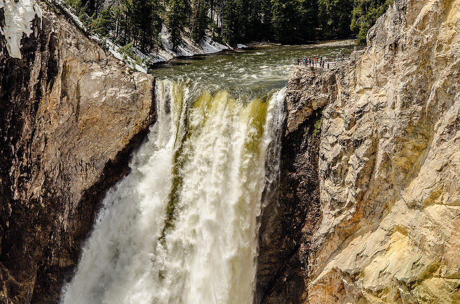 Yellowstone Falls Photograph by Yeates Photography