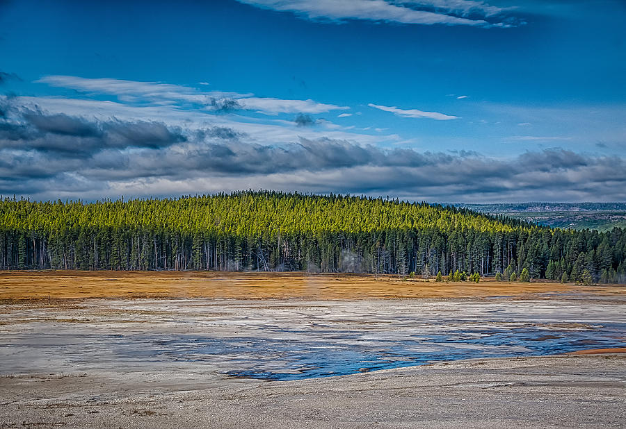Yellowstone National Park Photograph - Yellowstone  Forest by David  Banks 