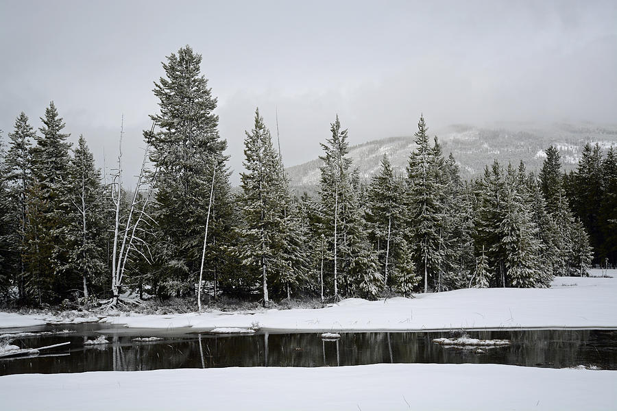 Yellowstone Gibbon Meadows Spring Snow and Reflection Photograph by Bruce Gourley