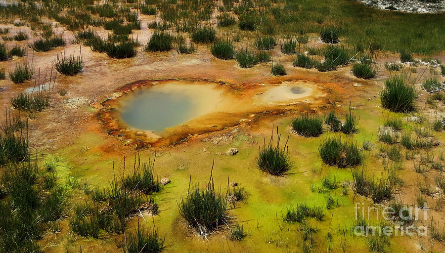 Yellowstone Hot Pool Photograph