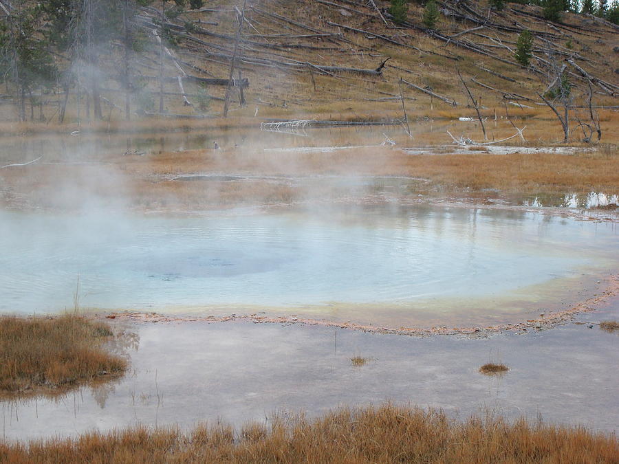 Yellowstone Hot Spring Photograph by Susan Woodward