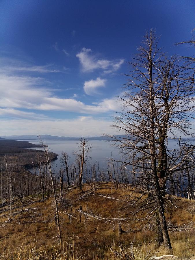 Yellowstone lake Photograph by James Schoenheide - Fine Art America