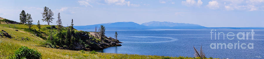 Yellowstone Lake Pano Photograph by Jennifer White