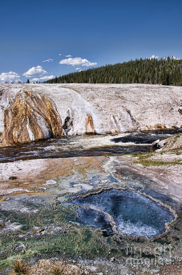 Yellowstone Landscape Photograph by Brenda Kean