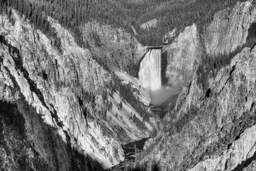 Yellowstone Lower Falls Photograph by Dennis Hammer