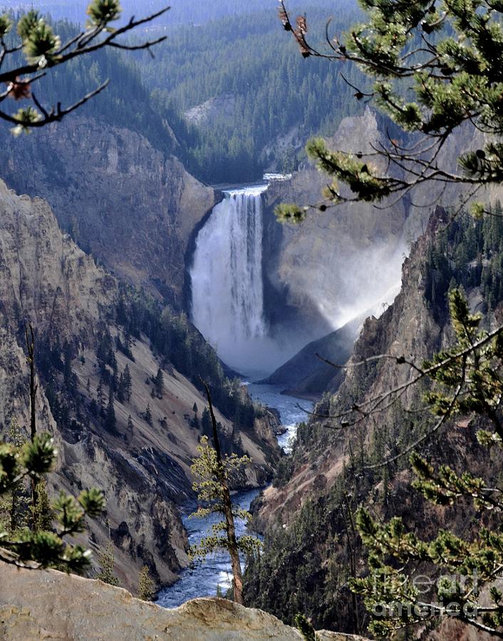 Yellowstone National Park Photograph - Yellowstone Lower Falls by Kathleen Struckle
