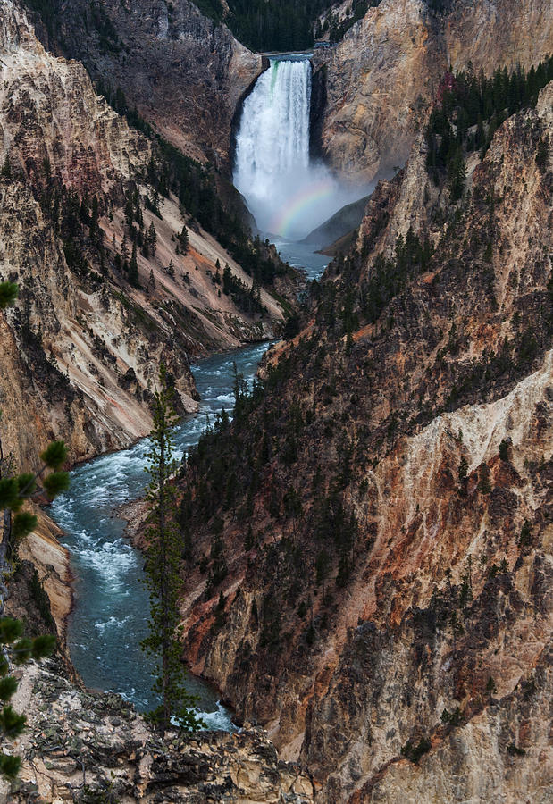 Yellowstone Lower Falls Photograph by Rob Hemphill