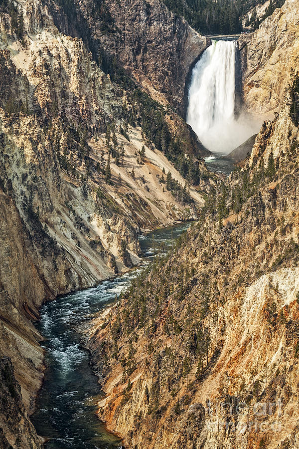 Yellowstone Lower Falls Waterfall Photograph by Bryan Mullennix