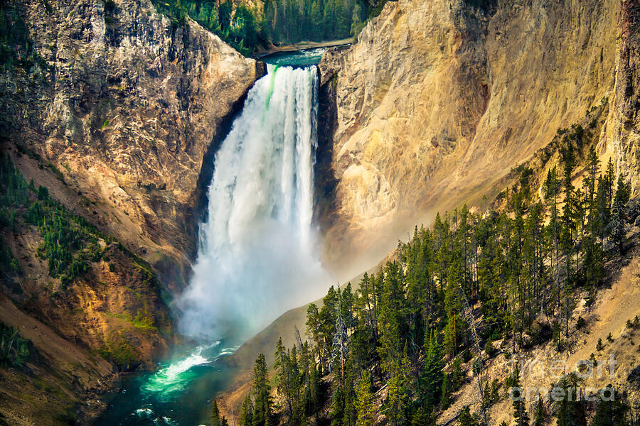 Yellowstone National Park Photograph - Yellowstone Lower Waterfalls by Robert Bales