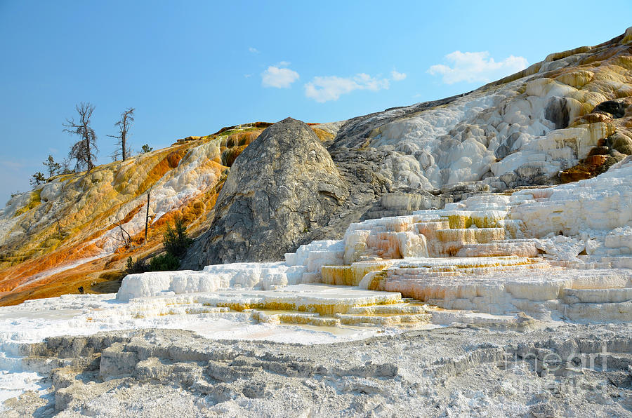 Yellowstone Mammoth Hot Springs Colorful Palette Spring Photograph by Debra Thompson
