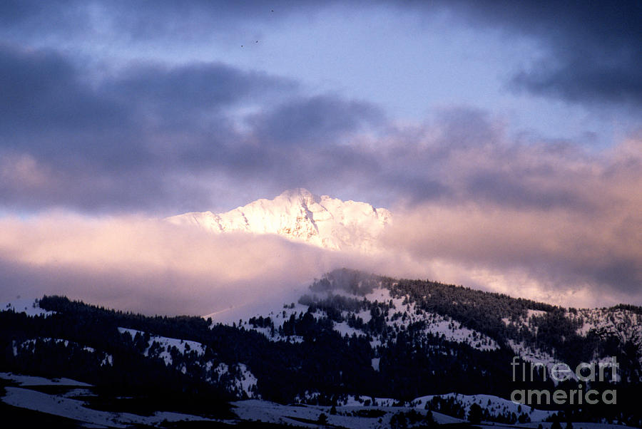 Yellowstone Morning Photograph by Sharon Elliott