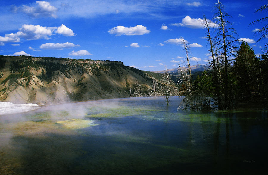 Yellowstone National Park 3 Photograph by Xueling Zou