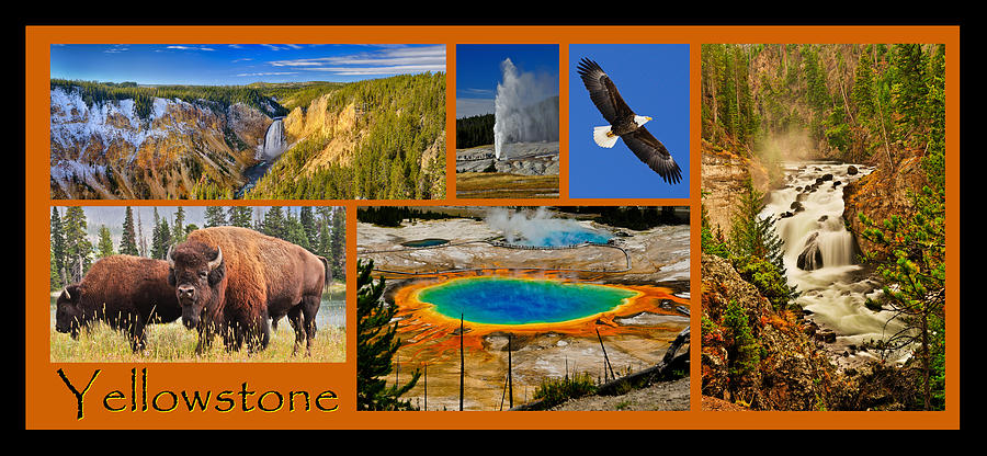 Yellowstone National Park Photograph - Yellowstone National Park by Greg Norrell