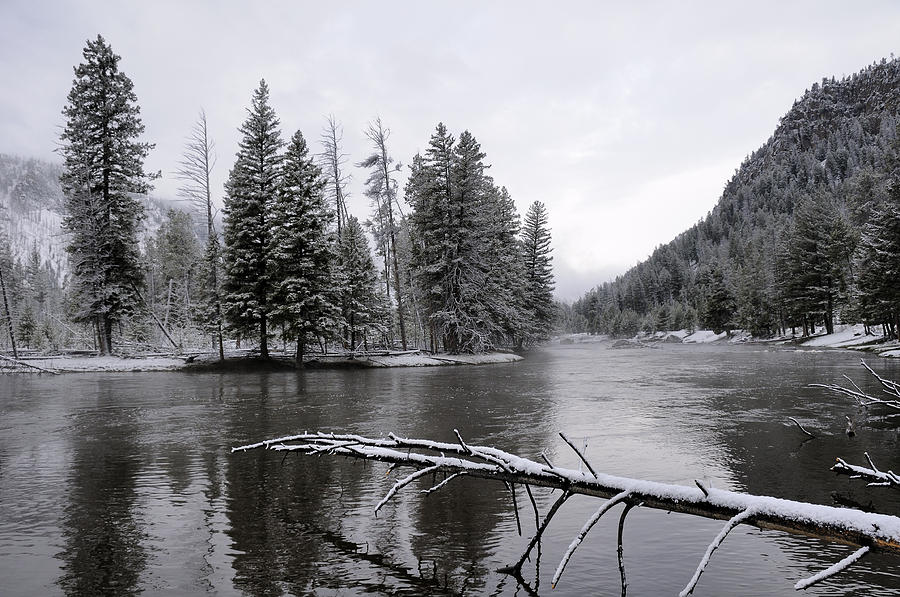 Yellowstone National Park Photograph - Yellowstone National Park in the Winter by Kriss Russell